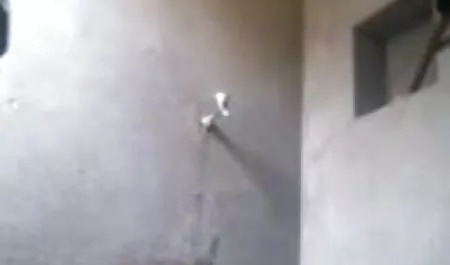 सम्मिलित हिंदी सेक्सी पिक्चर हिंदी के जंगल में