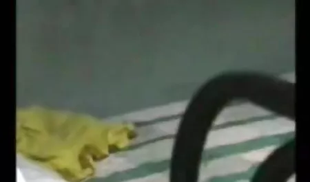 गुदा छूत का आनंद ले रहे तीन सेक्स बफ फिल्म लड़कियों