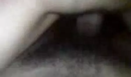 सोफिया हॉलीवुड सेक्सी वीडियो फिल्म एलेग्रे
