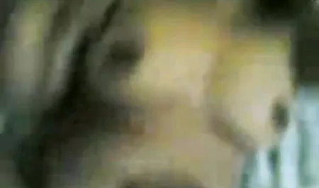 मिस सेक्सी फिल्म वीडियो भोजपुरी सपने देखने.