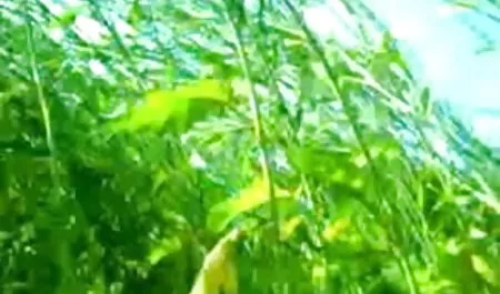 लचीला गधे के साथ स्वादिष्ट फिल्म हिंदी में सेक्सी चॉकलेट कट