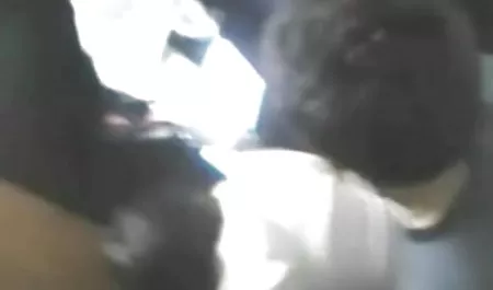 एक घास खेत पर सेक्सी फिल्म देना वीडियो में एक जर्मन पकड़ो
