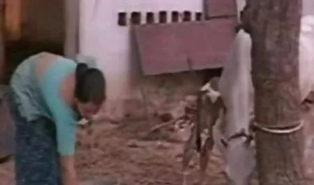 ला प्लेट जंगल में किसी न किसी सेक्स प्यार करता है सेक्सी वाला वीडियो फिल्म