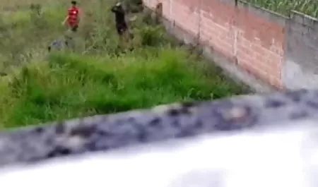 माशा और एंटोन खुद सेक्स पिक्चर हिंदी को दर्शाती