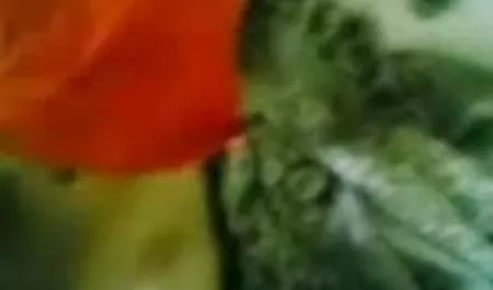 एक हीरोइन की सेक्सी फिल्म सेक्सी महिला