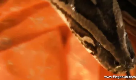 युवा मूर्ख सेक्सी मूवी जैसी मूवी प्रसिद्ध होना चाहता है