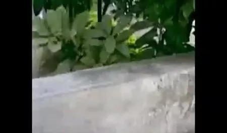 दो दोस्त: बेबी निकोल्स और एमिलिया अरकान फिटनेस और कोई समलैंगिक खुशी के बिना नहीं करीना कपूर का सेक्सी फिल्म कर सकते